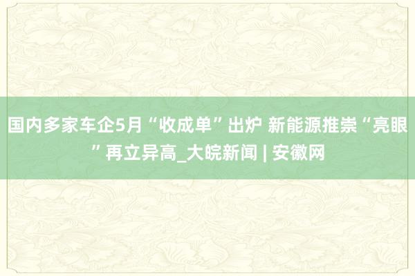 国内多家车企5月“收成单”出炉 新能源推崇“亮眼”再立异高_大皖新闻 | 安徽网