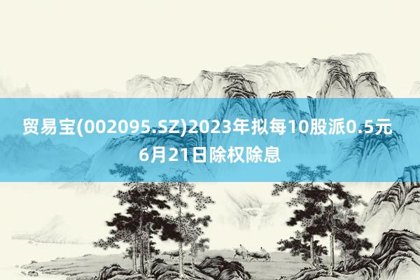 贸易宝(002095.SZ)2023年拟每10股派0.5元 6月21日除权除息