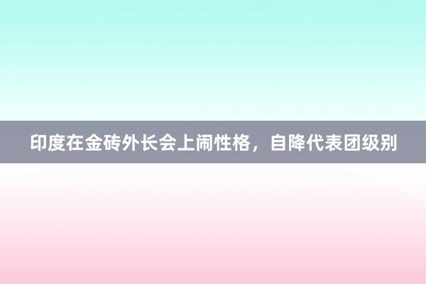 印度在金砖外长会上闹性格，自降代表团级别