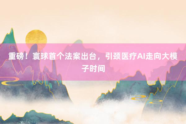 重磅！寰球首个法案出台，引颈医疗AI走向大模子时间