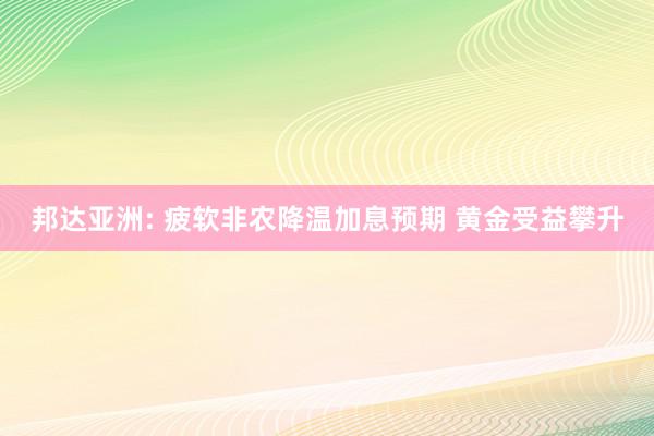 邦达亚洲: 疲软非农降温加息预期 黄金受益攀升