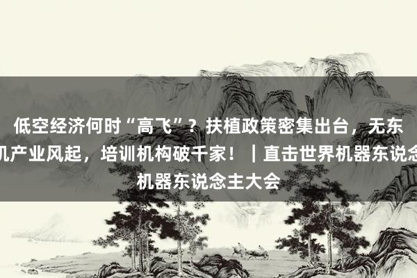 低空经济何时“高飞”？扶植政策密集出台，无东说念主机产业风起，培训机构破千家！｜直击世界机器东说念主大会