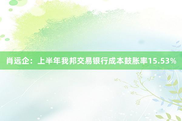 肖远企：上半年我邦交易银行成本鼓胀率15.53%