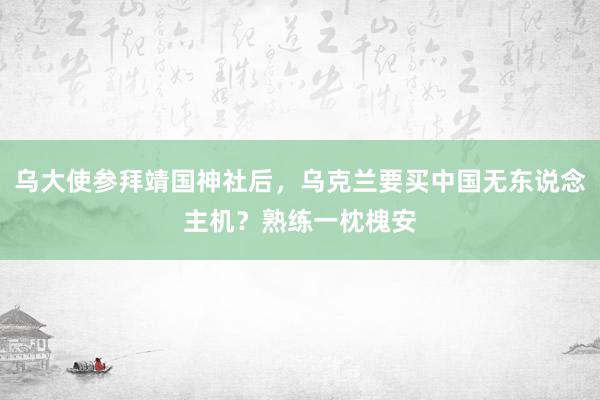 乌大使参拜靖国神社后，乌克兰要买中国无东说念主机？熟练一枕槐安