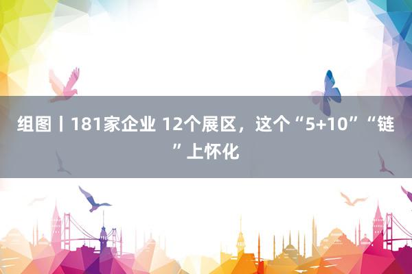 组图丨181家企业 12个展区，这个“5+10”“链”上怀化