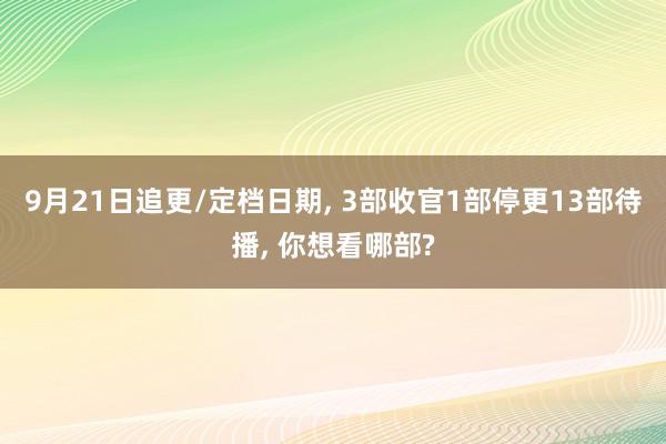 9月21日追更/定档日期, 3部收官1部停更13部待播, 你想看哪部?